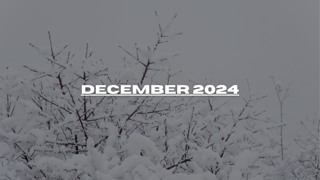 Edition #7 – December 2024