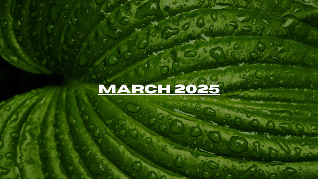 Edition #10 – March 2025