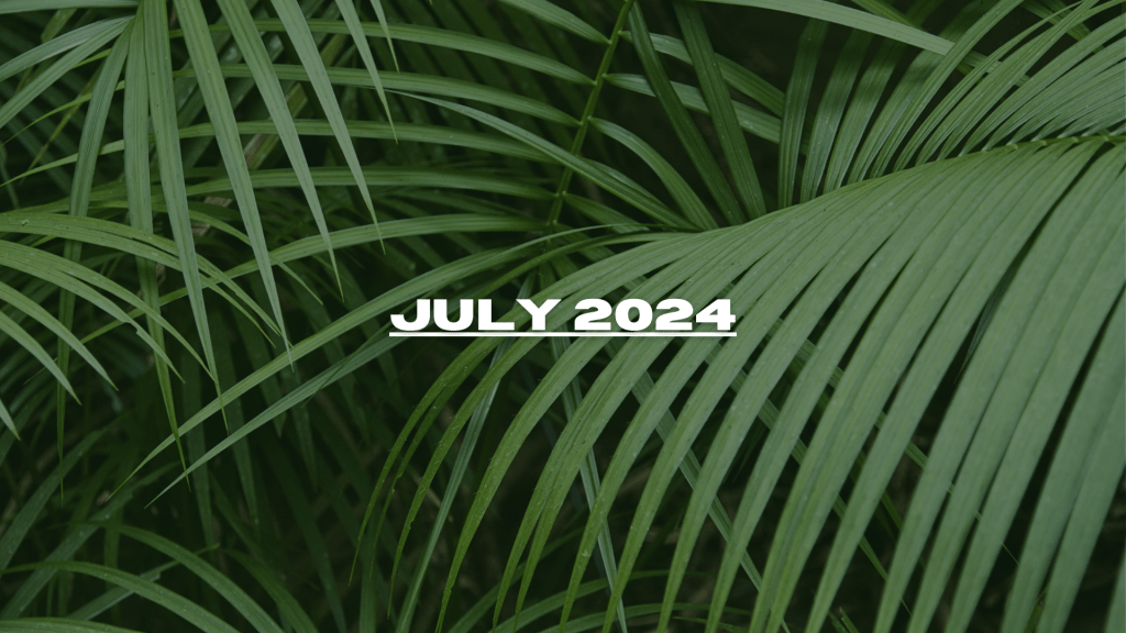 Edition #2 – July&nbsp;2024