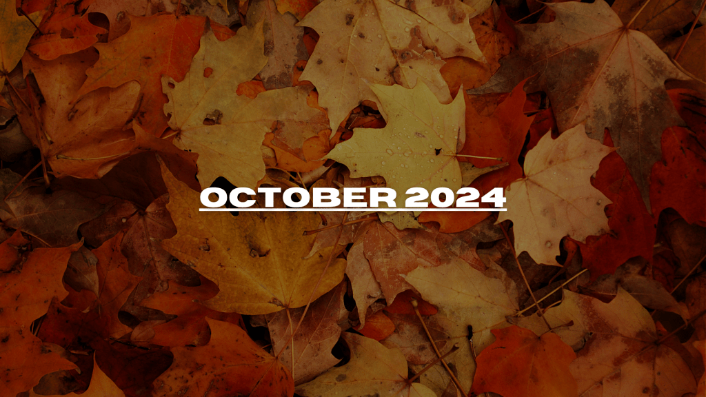 Edition #5 – October&nbsp;2024
