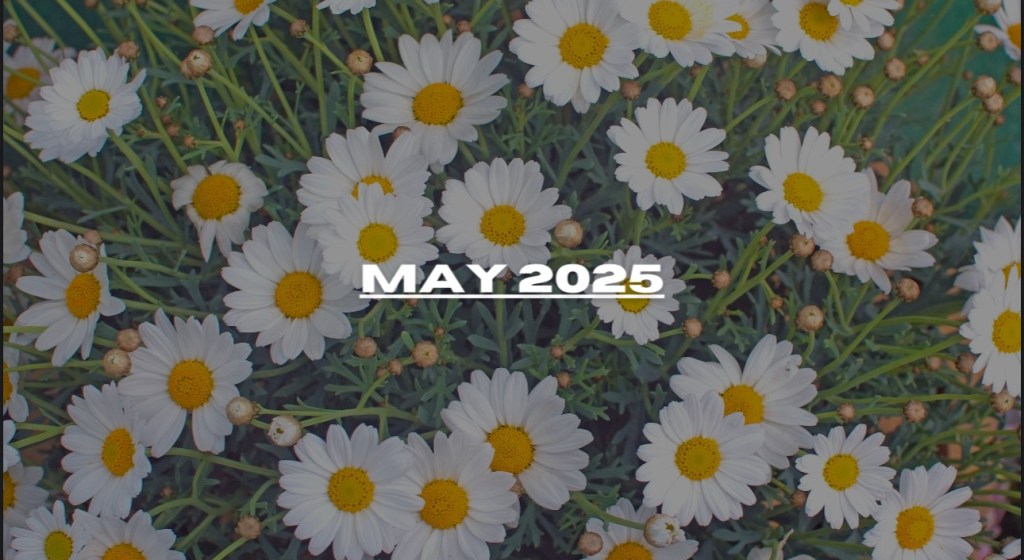 Edition #12 – May 2025