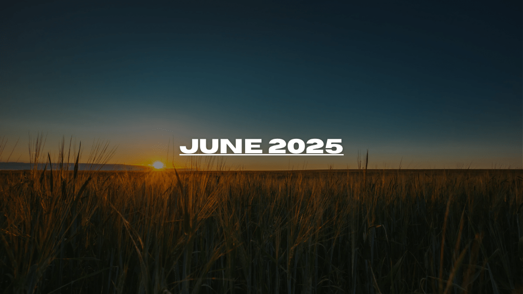 Edition #13 – June 2025