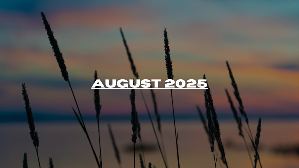 Edition #15 – August 2025